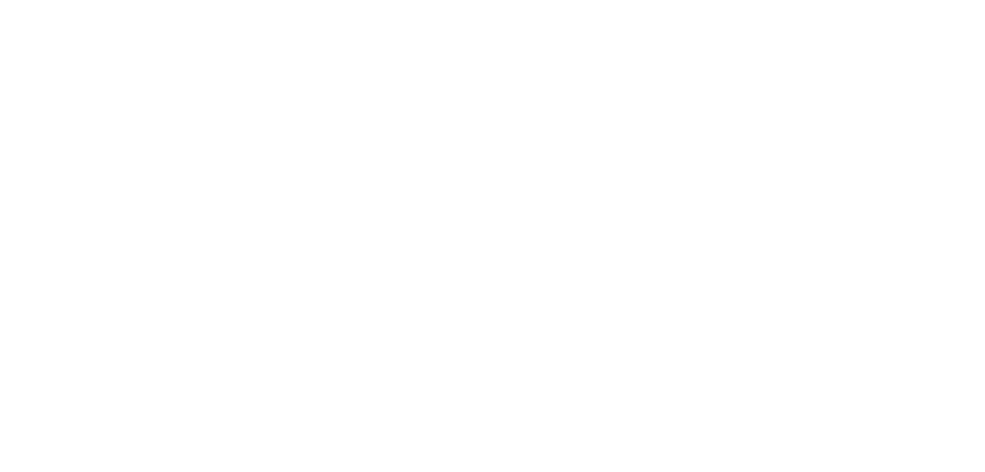 ILINA Program